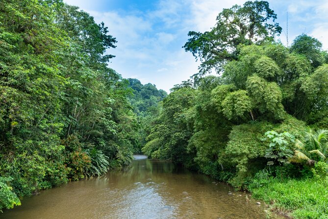 Private Tour Rainforest From Tobago - Booking and Cancellation