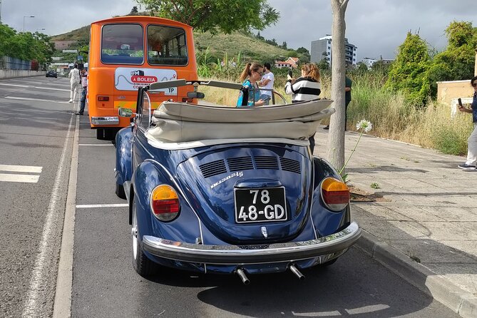 Private Tour: Regional Road Drive With Stunning Views and Poncha Drink Tasting - Scenic Viewpoints