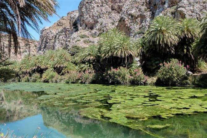 Private Tour Rethymno: Spili, Preveli, Kourtaliotiko, Old Town - Holy Monastery of Preveli