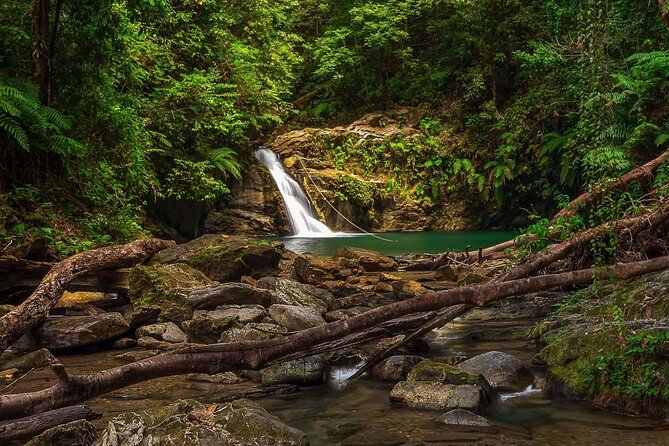 Private Tour Rio Seco Waterfall From Port of Spain - Accessibility and Participation