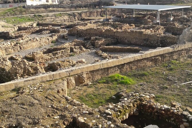 Private Tour Roman Granada (Florentia) - Included in the Tour