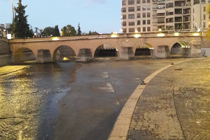 Private Tour Roman Granada (Florentia) - Transportation and Location