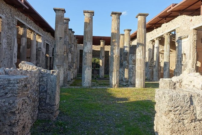 Private Tour Rome to Pompeii in Private Vehicle or Fast Train - Accessibility and Participation