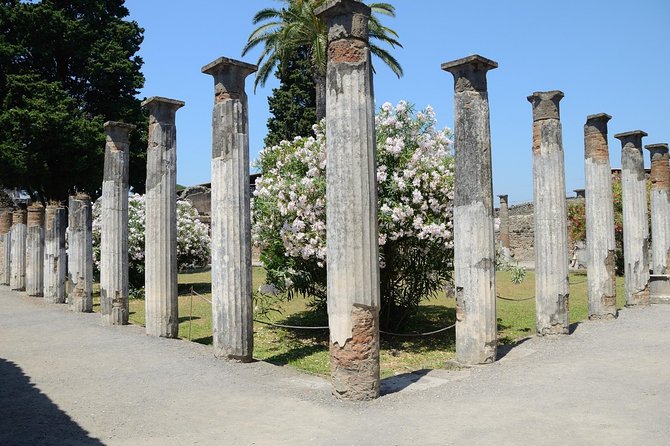 Private Tour Rome to Pompeii in Private Vehicle or Fast Train - Whats Included