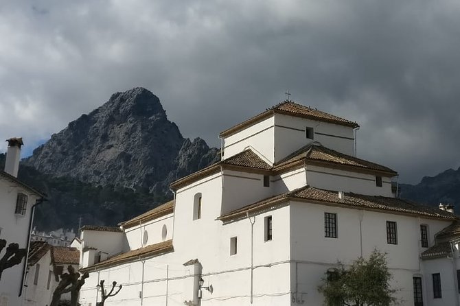 Private Tour Ronda and White Villages From Seville - Reviews Summary