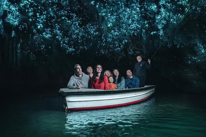 Private Tour: Rotorua and Waitomo Caves Day Trip From Auckland - Transportation and Logistics