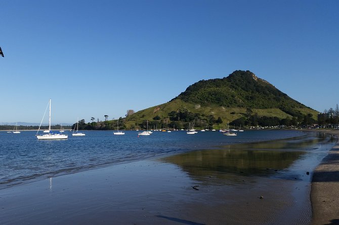 Private Tour Rotorua Shore Excursion up to 8 Passengers - Customer Reviews