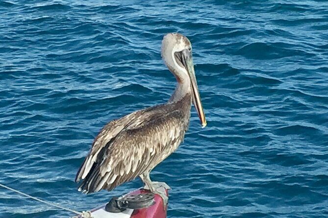 Private Tour Sail in Virgin Islands National Park - Practical Details for Travelers
