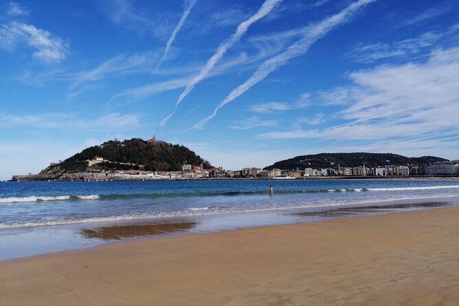 Private Tour San Sebastian & Getaria Fishing Village From Bilbao - Traveler Feedback and Recommendations
