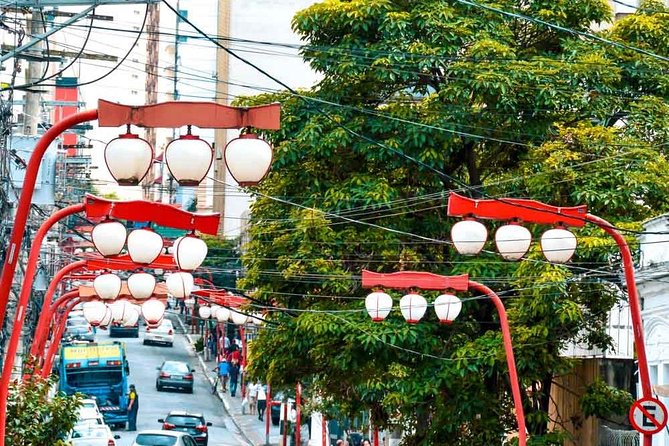 Private Tour São Paulo Included Main Attractions - 5 Hours - Tour Duration