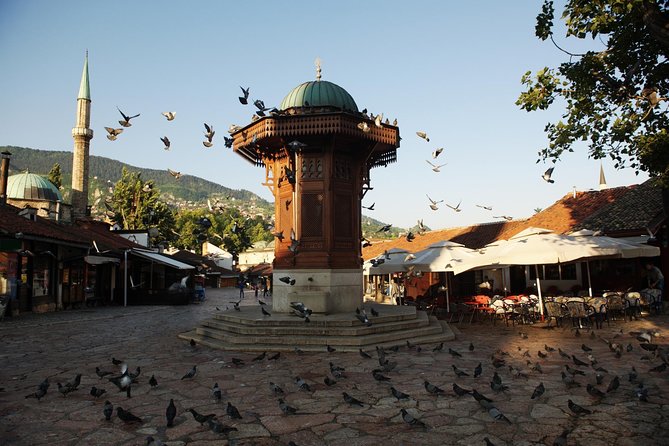 Private Tour: Sarajevo Day Trip From Dubrovnik - Transportation and Comfort