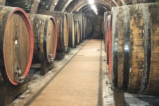 PRIVATE TOUR: Savor Exquisite Wines: Brunello & Nobile Wine Tour - Explore Montepulciano Wineries