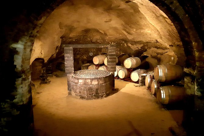 PRIVATE TOUR: Savor Exquisite Wines: Brunello & Nobile Wine Tour - Discover Montalcino Wineries