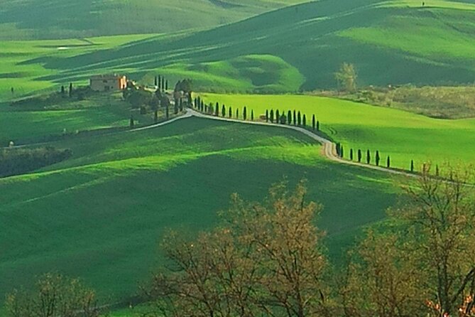 PRIVATE TOUR: Savor Exquisite Wines, Brunello & Nobile Wine Tour - Tour Overview and Highlights