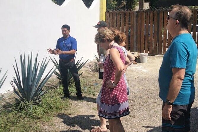 Private Tour, Sayulita & San Pancho - Why This Tour Is Worth Considering