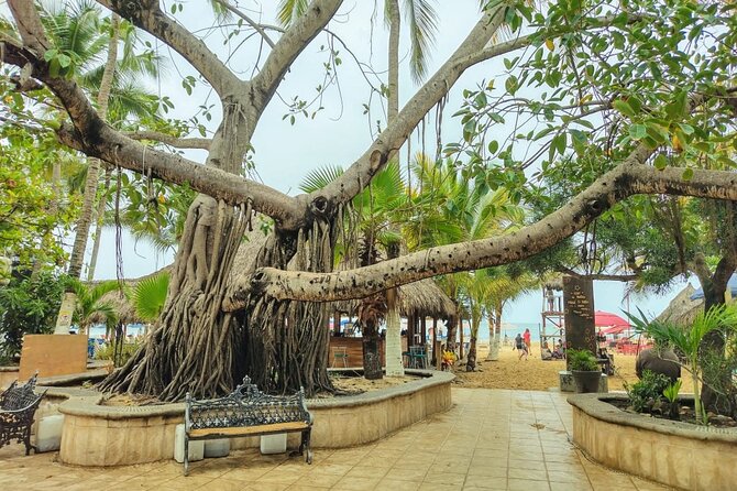 Private Tour, Sayulita & San Pancho - Pickup Information