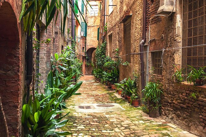Private Tour: Secret Siena Walking Tour - Basilica Di San Clemente in Santa Maria Dei Servi