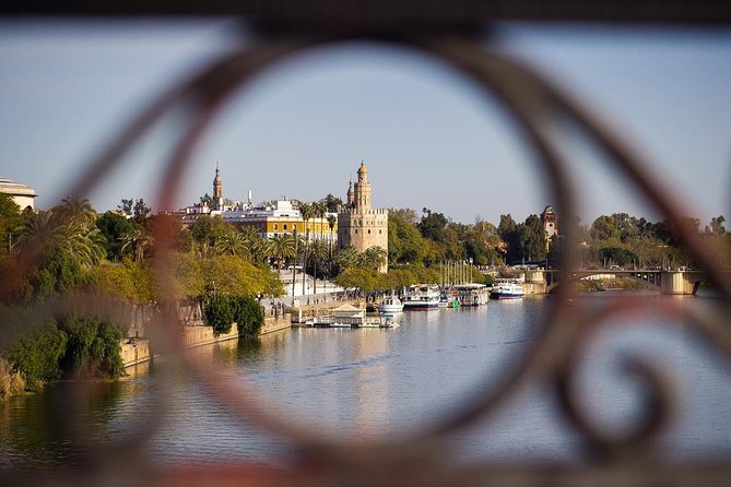 Private Tour: Seville Day Trip From Madrid by High-Speed Train With Tickets - Customer Feedback