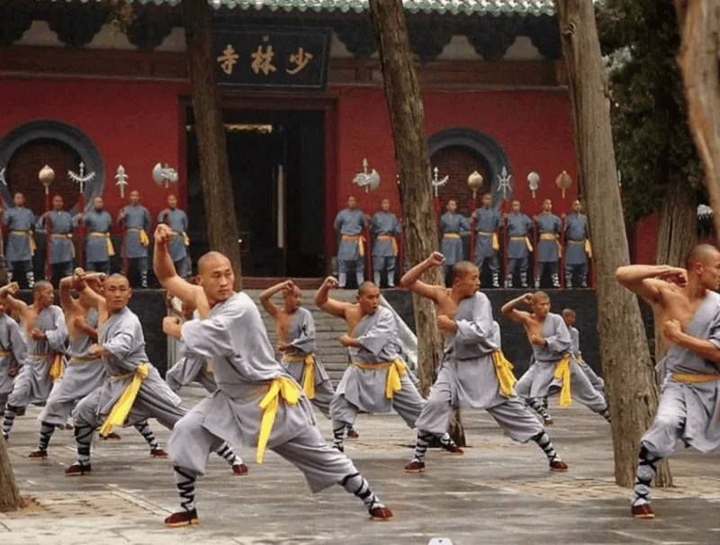 Private Tour Shaolin Temple &Longmen Grottoes From Xian - Highlights