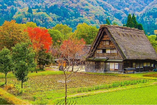 Private Tour: Shirakawa-Go & Takayama 1-Day Tour From Nagoya - Key Points
