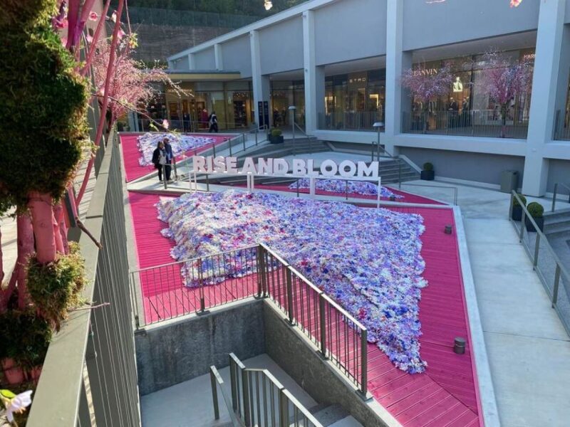 Private Tour Shopping in the MALL From Versilia - Transportation Details