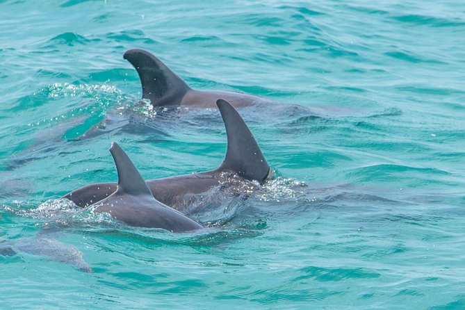 Private Tour - Sian Ka´An Adventure - Diverse Natural Beauty