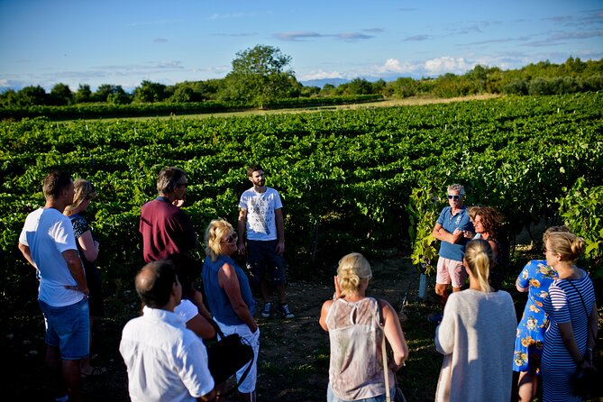 Private Tour Šibenik, Krka Waterfalls & Wine Tasting - Krka National Park