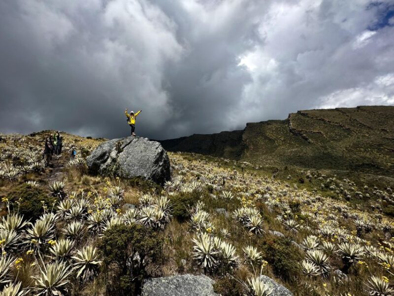 Private Tour, Siecha Lakes on Chingazas Paramo From Bogota - Inclusions