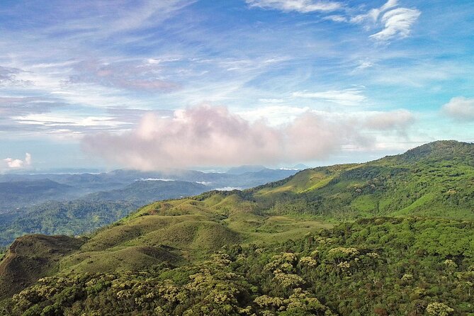 Private Tour Sinharaja Rain Forest From Colombo - Good To Know