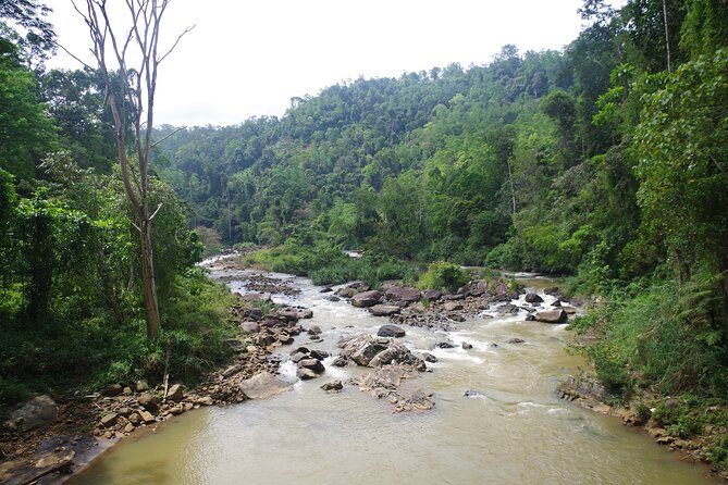 Private Tour Sinharaja Rain Forest From Colombo - Pickup Information