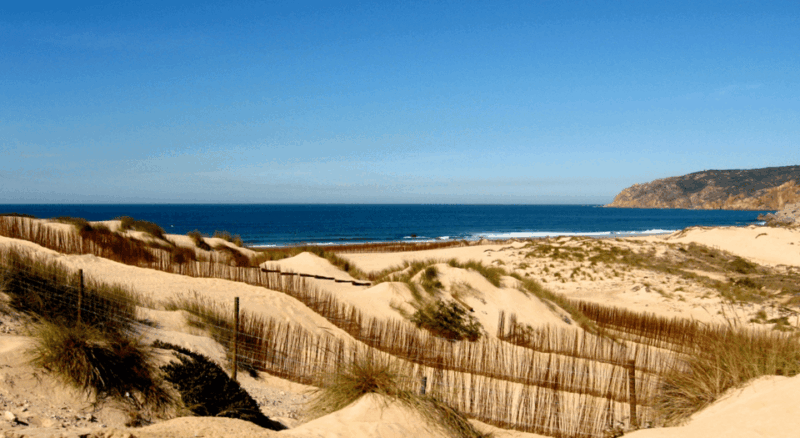 Private Tour : Sintra, Pena Palace, Cabo Da Roca, Cascais - Tour Experience and Guide