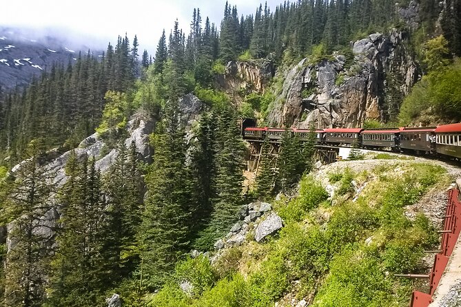Private Tour Skagway City & Summit - Tour Conditions and Accessibility