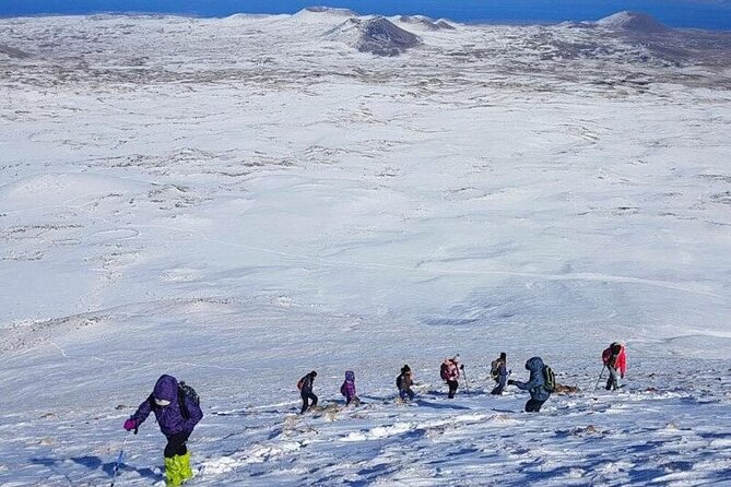 PRIVATE TOUR: Snow Activities and Tea Drinking in Lernanist - Included Activities