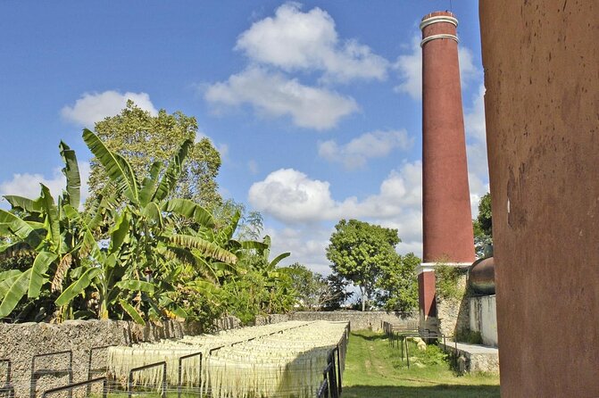 Private Tour: Sotuta De Peon Hacieda Day Trip - Key Points