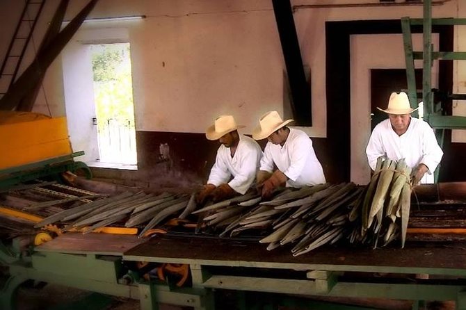 Private Tour: Sotuta De Peon Hacieda Day Trip - Discover the Transformation