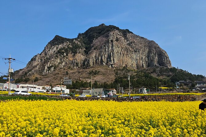 Private Tour South and West Jeju Island With Experienced Driver - Inclusions and Exclusions