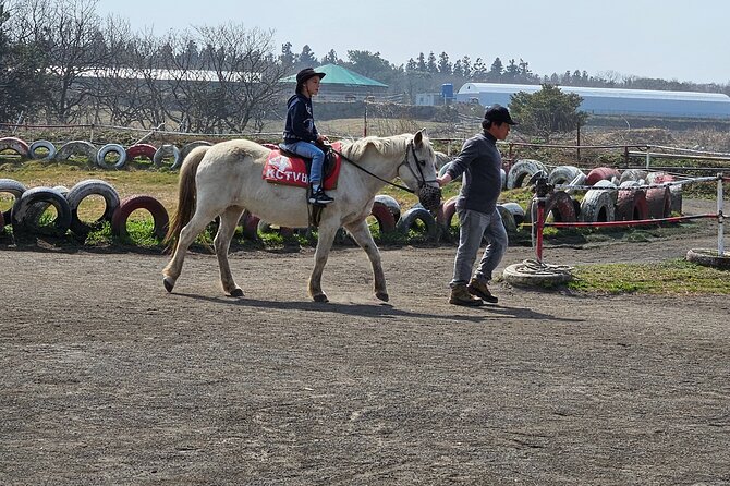 Private Tour South and West Jeju Island With Experienced Driver - Reviews and Feedback