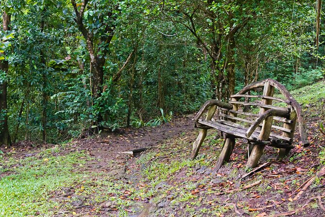 Private Tour St. Lucia Botanical Gardens and Waterfall - Booking and Cancellation