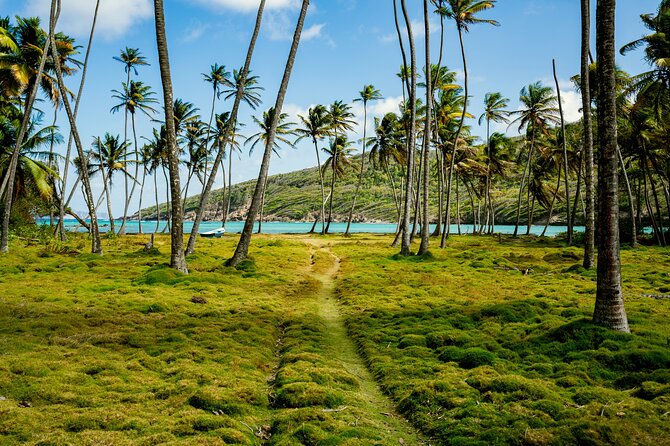 Private Tour St Vincent Half Day - Questions About Your Stay