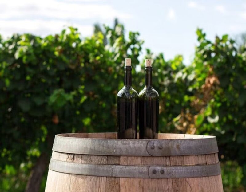 Private Tour: Ston and Peljesac Wine Tasting With Lunch From - Itinerary Highlights