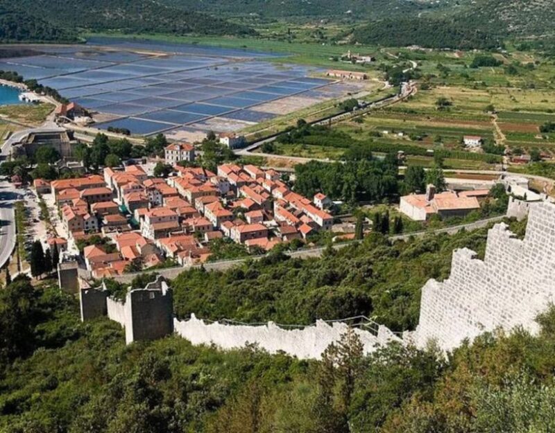 Private Tour: Ston and Peljesac Wine Tasting With Lunch From - Gastronomy Experience