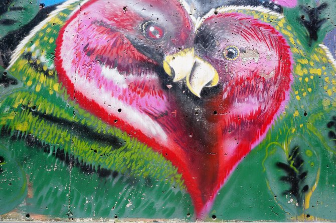 Private Tour: Street Art in Medellín - Urban Art & Cultural Identity - Meet the Local Hip Hop Artists