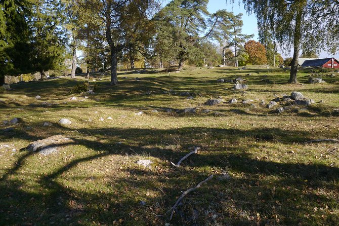 Private Tour: Swedish History Day Trip to World Heritage Candidate Markim-Orkesta From Stockholm - Highlights and Activities