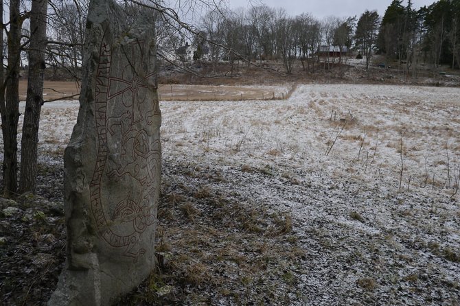 Private Tour: Swedish Iron Age Excursion From Stockholm 3h - Reviews and Ratings