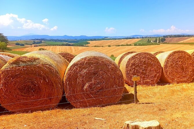 PRIVATE TOUR Sweet Hills of Chianti and San Gimignano With Lunch & 2 Tastings - Key Points