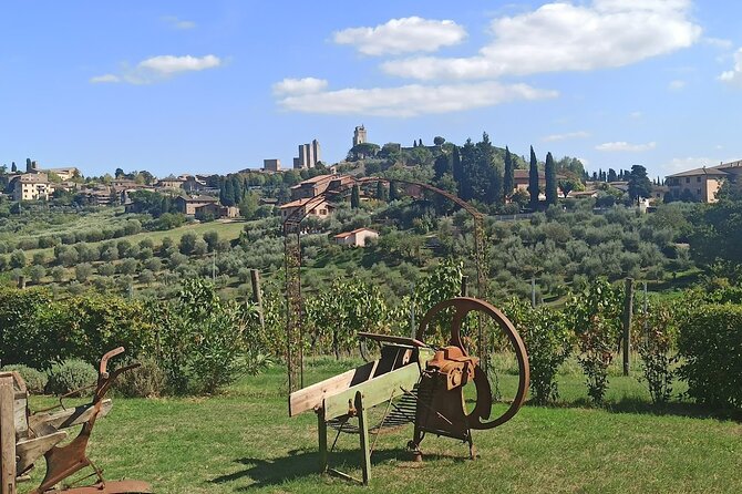 PRIVATE TOUR Sweet Hills of Chianti and San Gimignano With Lunch & 2 Tastings - Discovering San Gimignano