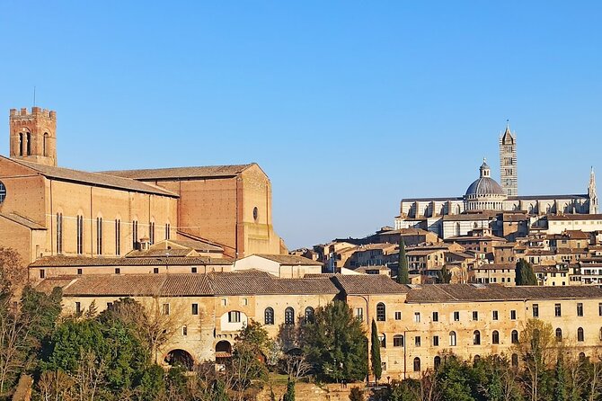 PRIVATE TOUR: Sweet Hills of Chianti & Siena + Lunch & 2 Tastings - Key Points