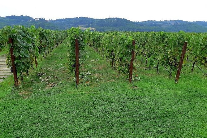 PRIVATE TOUR: Sweet Hills of Chianti & Siena + Lunch & 2 Tastings - Confirmation and Payment