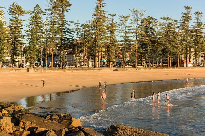 Private Tour: Sydney City Highlights & Hidden Gems - Confirmation and Cancellation