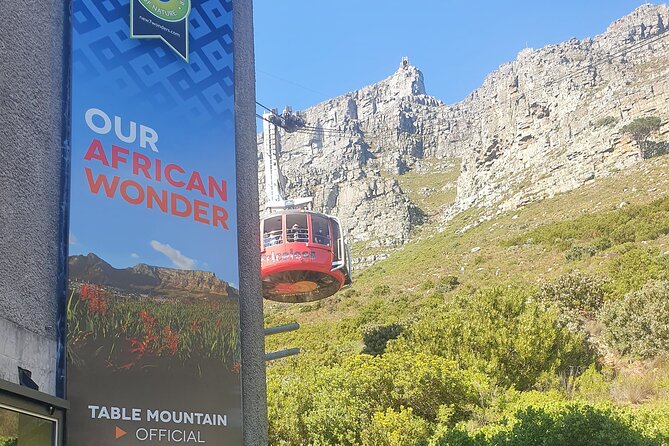 Private Tour: Table Mountain Boulders Beach Penguin Cape Point - Accessibility and Additional Information